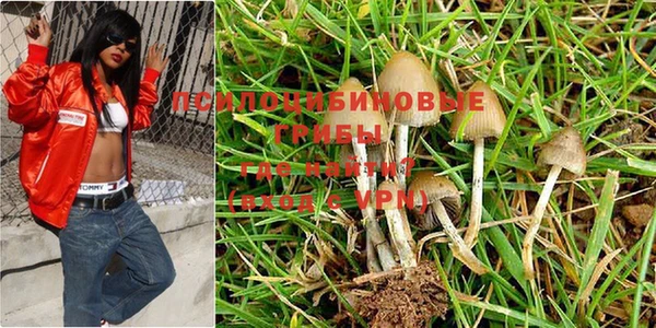 хмурый Богородицк