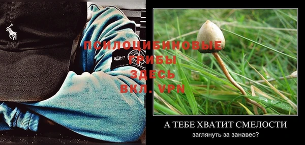 герыч Бородино
